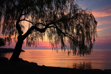 Ohio Silhouette. Sunset at Edgewater Beach Park in Cleveland with Willow Tree by Lake Erie