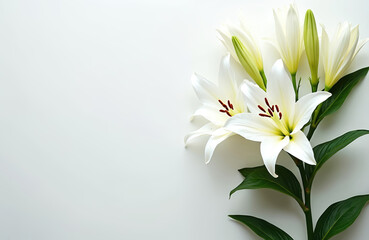 White funeral lilies with green leaves on a plain background. Features ample copy space, suitable for memorial service announcements and cards. Conveys sympathy, remembrance, and solemn respect.