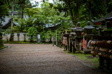 Kasuga Taisha Shrine in Nara Prefecture, Japan in summer