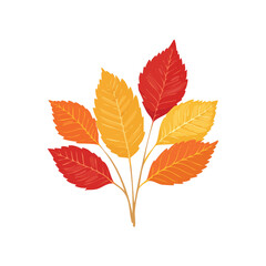 autumn leaves isolated on white background