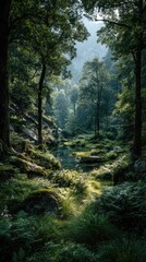 Fototapeta premium Verdant forest glen bathed in sunlight