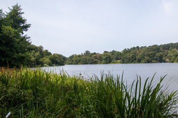 The Virginia Water Lake