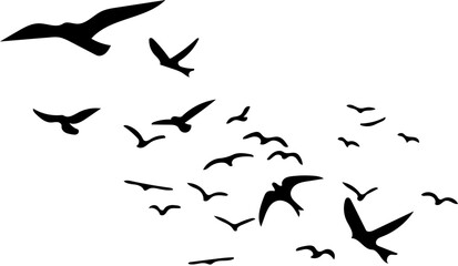 Dynamic flock of birds soars together in freedom, representing unity and migration in nature