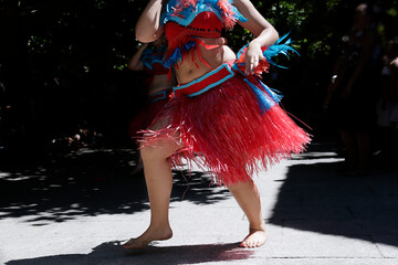 Woman dancing and wearing one of the traditional folk costume from Wellington, New Zealand