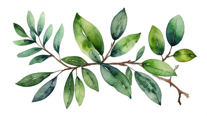 Leafy Elegance: A Delicate watercolor painting branch adorned with vibrant green leaves and slender branches.