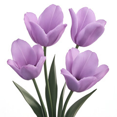 Fototapeta premium purple tulips isolated on white