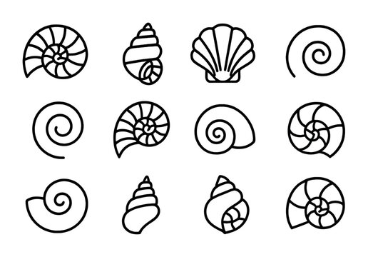 Fractal Shell Icon Set. Outline icon set of fractal shells: nautilus spiral, conch coil, seashell fractal,
