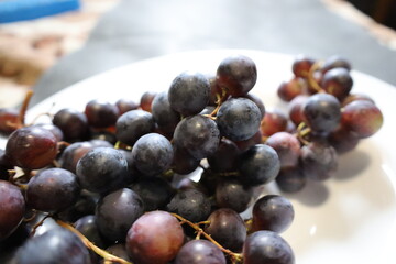 Muscat Hamburg Grapes Close-up on the Vine