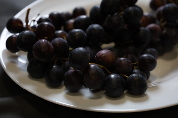 Muscat Hamburg Grapes Close-up on the Vine