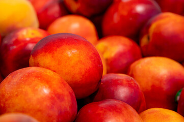Close-up a lot of fresh red yellow colored peaches on market stall or in groceries shop area....