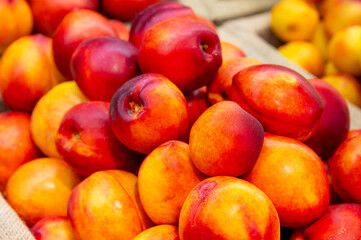 Close-up a lot of fresh red yellow colored peaches on market stall or in groceries shop area. Nectarines background. Fruit food background. Selective focus