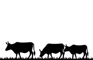 Silhouette of a cow. of farm animals cows 