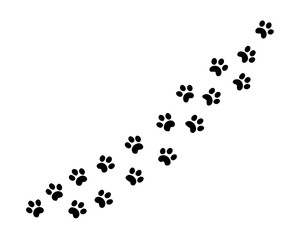 Paw vector foot trail print of cat. Paw dog, puppy, cat vector print, animal, isolated