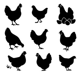 hen chicken icon set. chicken silhouettes, vector Illustration