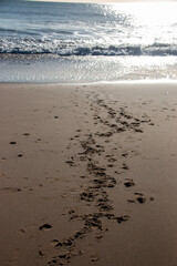 The  empty beach on a beautiful day
