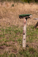 A view of a perching post of birds