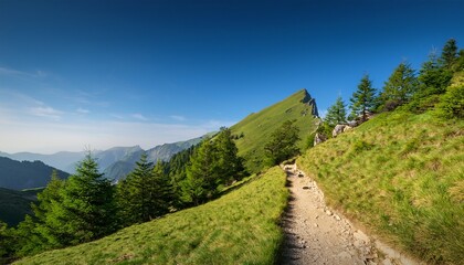 Obraz premium steep mountain path lined with green forests following the contours of a rugged hillside under a clear sky