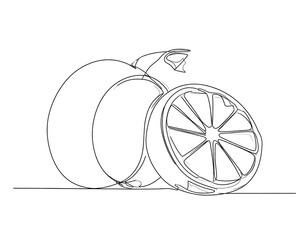 Continuous line drawing of citrus fruits