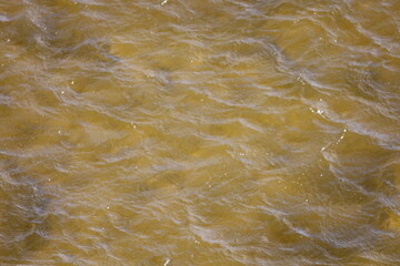 Waves on the Surface of the Vistula River