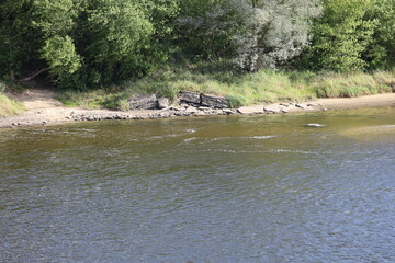 Vistula River with Vegetated Riverbank and Trees