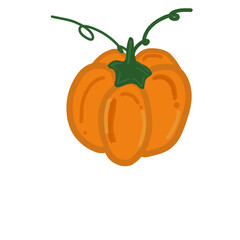 A round pumpkin with bright orange skin, smooth surface, and a sturdy green stem on top.