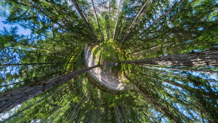 Hiking at Tofana di mezzo - Cortina d'Ampezzo - Italy - Tiny planet