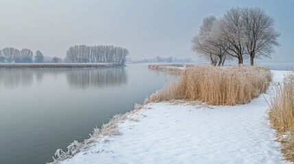 Frosted river bank in winter. Possible use Nature, landscape, and winter photography