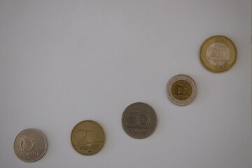 Hungarian forint coins arranged in ascending order on white background, representing currency.