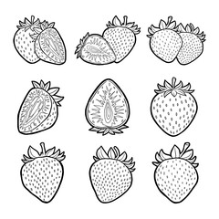 Hand Drawn Strawberries Elements Outline. Vector Illustration about Fruit.