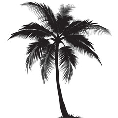 Coconut Tree Silhouette Vector Image