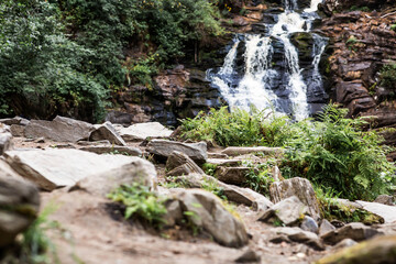 Fototapeta premium Yukankoski Waterfall (White Bridges) in the Republic of Karelia on a summer evening, Russia