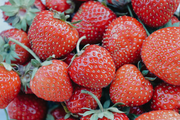 fresh strawberries on the market