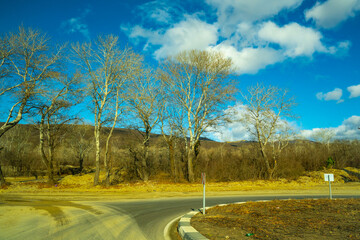Golden trees and blue sky along the highway somewhere in Georgia