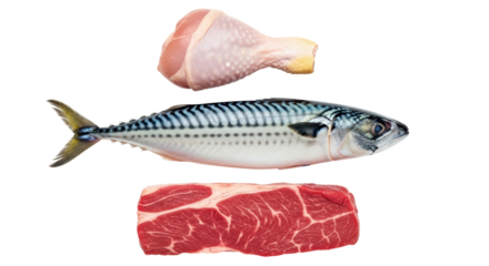 Isolated Assortment of Raw Meat