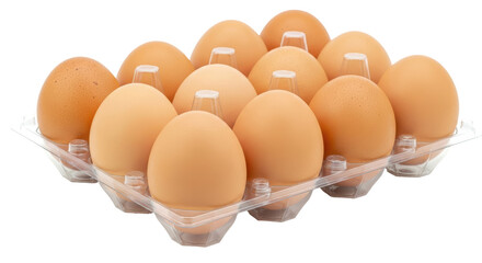 Isolated Eggs in Plastic Container