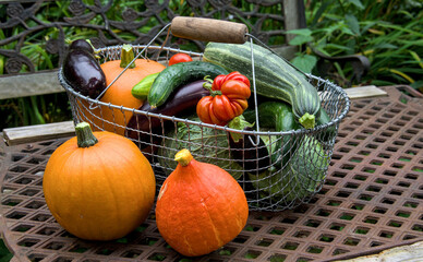 Autumn harvest of vegetables in a basket on a wooden table.