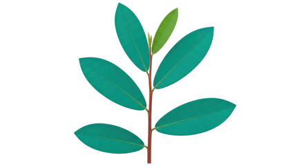 Isolated Green Leaves with Branch