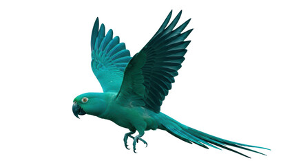 Isolated Green Parrot Flying