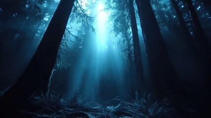 Mystic Forest with Blue Light Beams Filtering Through Tall Trees in an Enigmatic Natural Landscape Scene