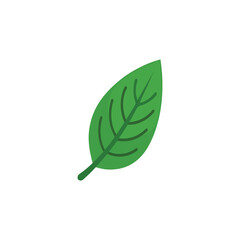 Green leaf icon, flat vector illustration, isolated on white background