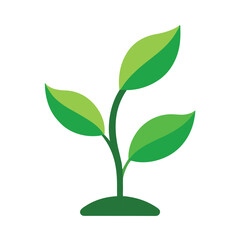 Green plant sprout with three leaves, flat vector illustration, isolated on white background