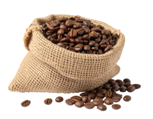 coffee beans in burlap sack isolated on transparent