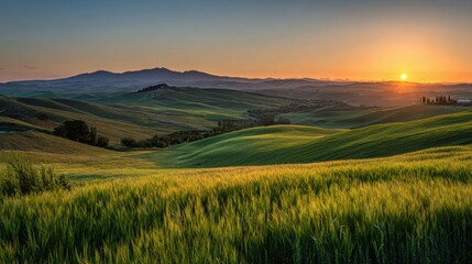 Fototapeta premium Early morning light bathes the lush green fields and rolling hills in a warm glow as the sun rises behind the distant mountains. Nature awakens in serene beauty.