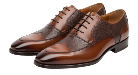 Isolated Pair of Leather Dress Shoes