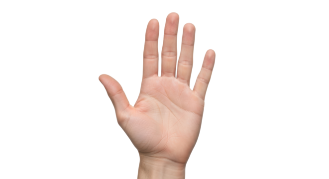 Isolated Open Palm