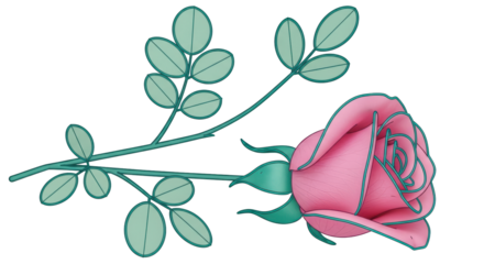 Isolated Pink Rose with Green Leaves