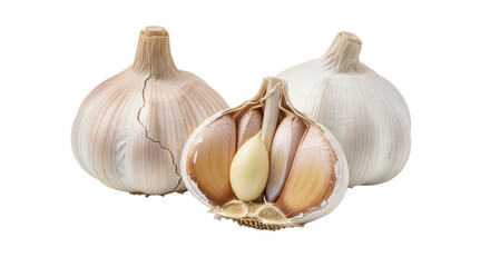 Isolated Garlic Bulbs on White Background