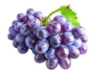 Fresh Purple Grape Cluster with Stem, Realistic Detail, isolated on transparent background