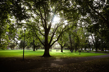 Carlton Gardens in Melbourne Australia