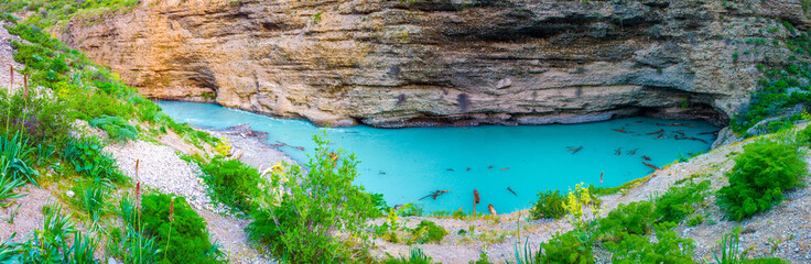 Turquoise mountain lake at the foot of a rocky cliff, surrounded by greenery and stones.